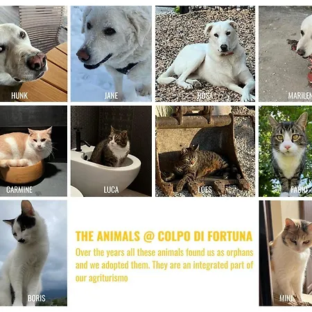 Colpo Di Fortuna Apartmán Gualdo di Macerata