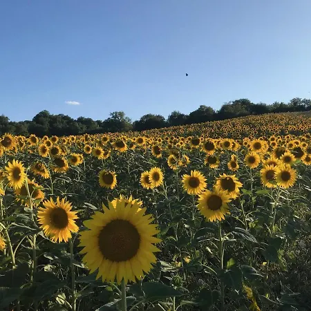 Colpo Di Fortuna Appartement