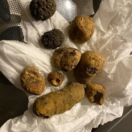 Appartement Colpo Di Fortuna Gualdo di Macerata