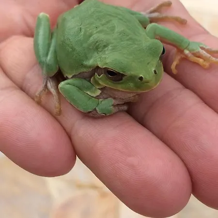 Appartement Colpo Di Fortuna