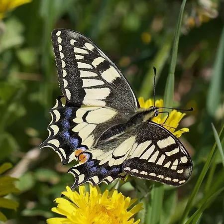 Colpo Di Fortuna Appartement Gualdo di Macerata