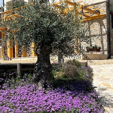 Apartment Colpo Di Fortuna *